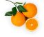 Picture of Navel Oranges